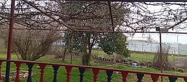 Həyət evləri və villaların satışı: 6 otaqlı, 680 kv. m, Kredit yoxdur, Orta təmir — 21