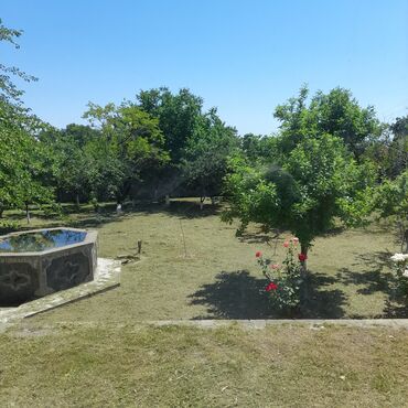 Günlük kirayə evlər: 250 kv. m, 5 otaqlı, Artezian quyusu, Telefon, İnternet -da lalafo.az — 15 Günlük kirayə evlər: 250 kv. m, 5 otaqlı, Artezian quyusu, Telefon, İnternet — 15