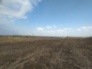 Torpaq sahələrinin satışı: 12 sot, Kupça (Çıxarış) — 8