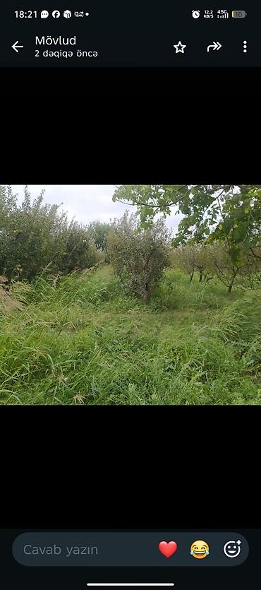 satılıq torpaq: Kənd təsərrüfatı, Mülkiyyətçi, Kupça (Çıxarış) — 1