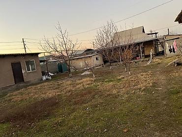 сдаю комнату аламедин 1: 5 соток, Для строительства, Тех паспорт, Договор купли-продажи — 4