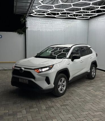 продам тойота рав 4 гибрид: Toyota RAV4: 2020 г., 2.5 л, Вариатор, Гибрид, Внедорожник
