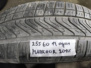 255 60 r18: Шины 255 / 60 / R 18, Лето, Б/у, 1 шт, Внедорожные (АТ/МТ), Hankook — 1