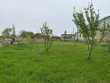 комм: 10 соток, Курулуш, Кызыл китеп — 2