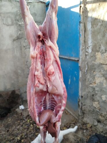 Ət: Salam temiz kaliforniya sortu🐇 dovsha eti isdeyen — 8