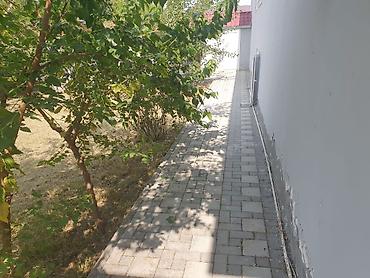 mərdəkanda villa: İsmayıllı rayon, Günəşli qəsəbəsində təcili həyətyanı ev satılır — 5