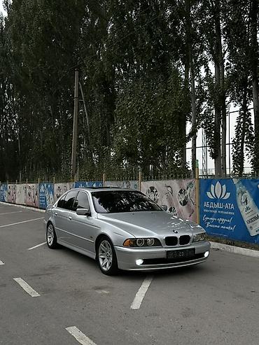 бамбер фит: BMW 5 series: 2002 г., 2.5 л, Механика, Бензин, Седан — 6