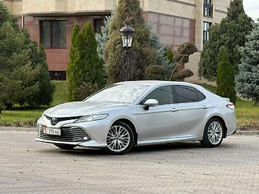 резина зимний: Toyota Camry: 2019 г., 2.5 л, Автомат, Гибрид, Седан — 5