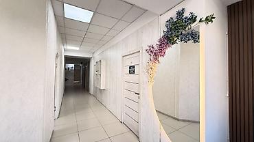 neta s бишкек: Сдаю Офисный кабинет: 15 м², В бизнес центре, С ремонтом, Первая линия — 8