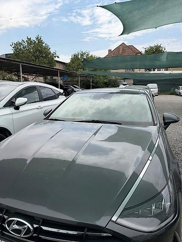 sonata: Hyundai Sonata: 2020 г., Лифтбек — 1