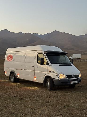 Унаа сатуу: Mercedes-Benz Спринтер: 2004 г., 2.2 л, Кол менен иштөөчү, Дизель, Бус — 2