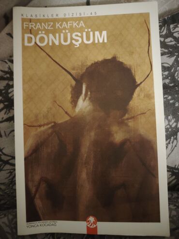 Franz Kafkanın qələmə aldığı, "Dönüşüm" hekayəsi, Gregor Samsanın bir