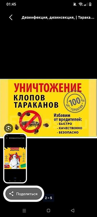 ветеринар на дом: Дезинфекция, дезинсекция, | Клопы, | Квартиры — 4
