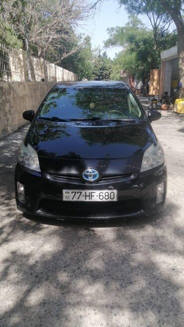 toyota azerbaycan: Toyota Prius: |
