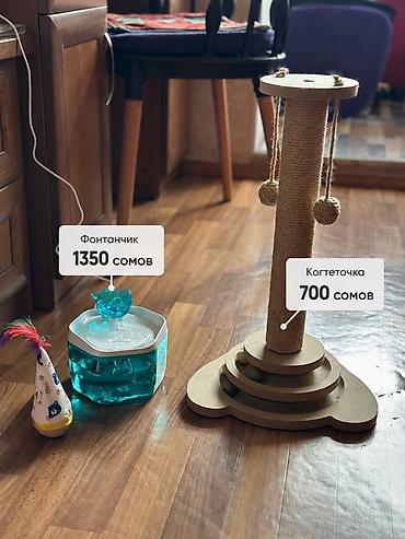 Зоотовары: ⛲️Фонтанчик-поилка для котика 1350 сом новый — 1