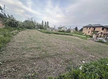 ысык куле: 11 соток, Курулуш, Кызыл китеп — 2