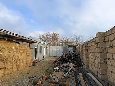 Torpaq sahələrinin satışı: 25 sot, Kənd təsərrüfatı, Mülkiyyətçi, Kupça (Çıxarış) -da lalafo.az — 13 Torpaq sahələrinin satışı: 25 sot, Kənd təsərrüfatı, Mülkiyyətçi, Kupça (Çıxarış) — 13