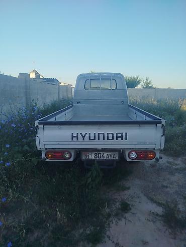jon deer: Легкий грузовик, Hyundai, Стандарт, 3 т, Новый — 7