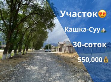 дома продажа бишкек: 30 соток, Для бизнеса, Красная книга