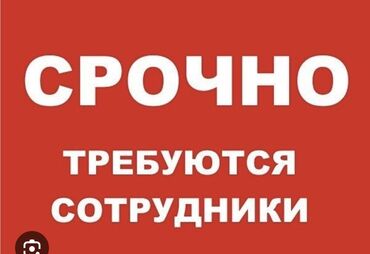 помещение для кафе: Талап кылынат Администратор: Тажрыйбасы бир жылдан аз, Төлөм Ай сайын