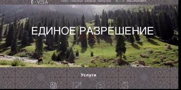 построить дом в бишкеке: Оформление единого разрешения и рабочих виз для иностранных граждан в