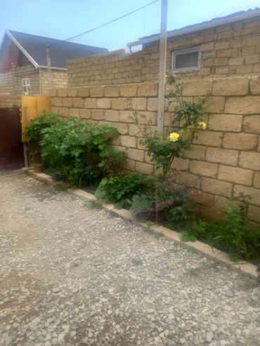 Həyət evləri və villaların satışı: 3 otaqlı, 350 kv. m, Kredit yoxdur, Orta təmir -da lalafo.az — 11 Həyət evləri və villaların satışı: 3 otaqlı, 350 kv. m, Kredit yoxdur, Orta təmir — 11