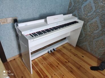 piano şəkli: Piano, Rəqəmsal, Yeni, Rayonlara çatdırılma