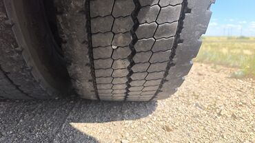 авто шына: Шиналар 295 / 60 / R 22,5, All-season, 1 даана, Жүк ташуучу унаалар/Автобустар, Кытай
