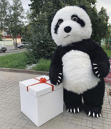 bizon promo: Panda maskotu – tədbirlər üçün 3D kostyum DƏRZİYƏ EHTİYAC VAR — 1