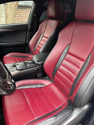 Lexus: Lexus NX: 2017 г., Кроссовер — 8