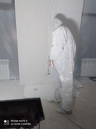 Покраска: Покраска стен, Покраска потолков, Покраска окон, На масляной основе, На водной основе, Больше 6 лет опыта — 17