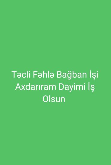 daye axdariram: Təcli İş Axdarıram