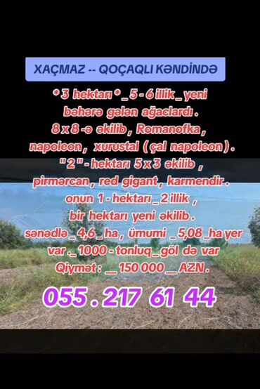 Torpaq sahələrinin satışı: 508 sot, Kənd təsərrüfatı, Kupça (Çıxarış) — 1