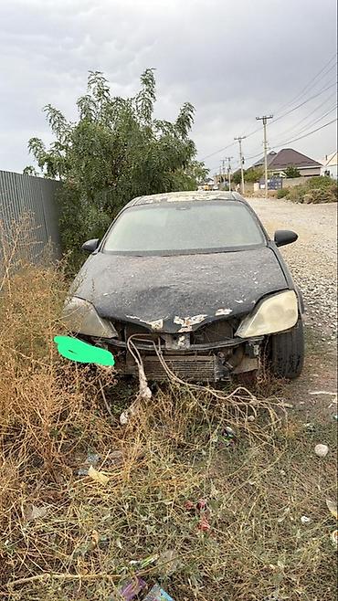германия товары: Nissan Primera: 2003 г., 2.2 л, Механика, Дизель, Универсал — 2