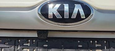 Kia: Kia Seltos: 2020 г., 1.6 л, Автомат, Бензин, Кроссовер — 15