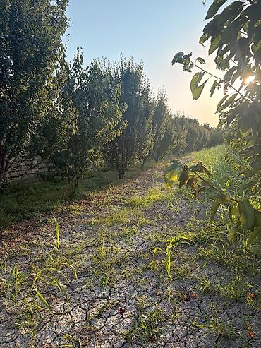 Digər tikinti materialları: Tikinti üçün natamam daş ev karkası - Material: keyfiyyətli daş — 11
