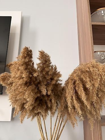 gùller: Pampas otu dekor buketi - Təbii qurudulmuş pampas otlarından — 1