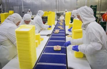 работу на ночь: Талап кылынат Таңгактоочу, Төлөм Бир айда эки жолу, Тажрыйбасыз
