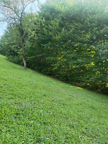 Torpaq sahələrinin satışı: 92 sot, Biznes üçün, Mülkiyyətçi, Kupça (Çıxarış), Bələdiyyə, Müqavilə — 13