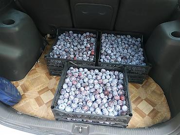 Хорошая домашняя слива,1кг 70сом