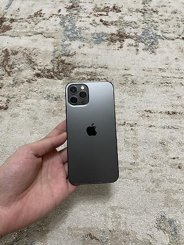 Apple iPhone: IPhone 12 Pro, Б/у, 128 ГБ, Графит, Защитное стекло, Чехол, 75 % at lalafo.kg — 1 Apple iPhone: IPhone 12 Pro, Б/у, 128 ГБ, Графит, Защитное стекло, Чехол, 75 % — 1