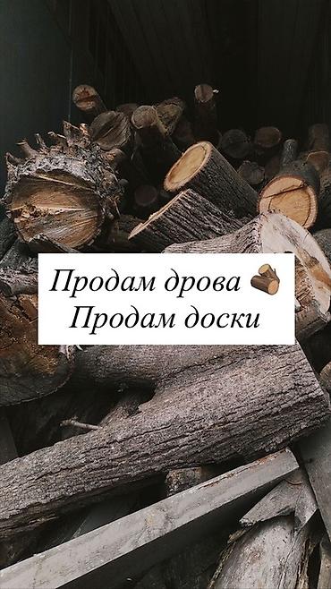 стулья деревяные: Дрова — 1