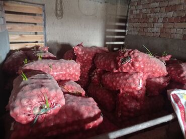 Продукты питания: Лук Самовывоз, Бесплатная доставка, Платная доставка