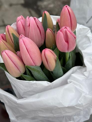 Букеты из живых цветов: Тюльпаны срезанные — букетные сборки. - Варианты окраски: насыщенный — 2