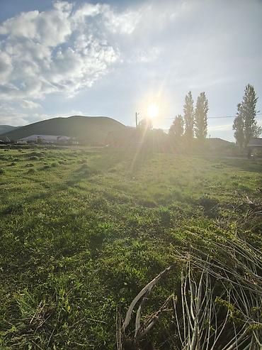 Продажа участков: 5 соток, Красная книга — 9