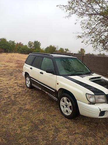 Subaru: Subaru Forester: 1997 г., 2 л, Автомат, Бензин, Универсал — 1