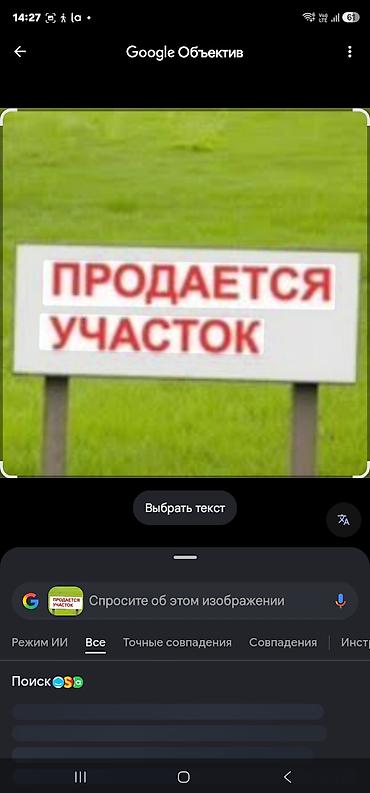 Жер тилкелери: 1 соток, Кызыл китеп — 3