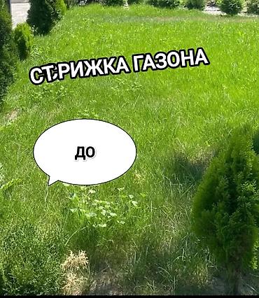 скарификатор: Уборка территории, Стрижка газона — 2