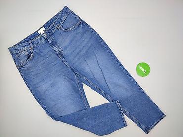 stanley zara: H&M, Jeansy damskie, rozmiar 4XL — 2