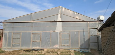 İstixanalar və parniklər: Sənaye tipli istixana kompleksi Taxda 6 metrelik 5.10 /90 ədəd 5.15 — 1